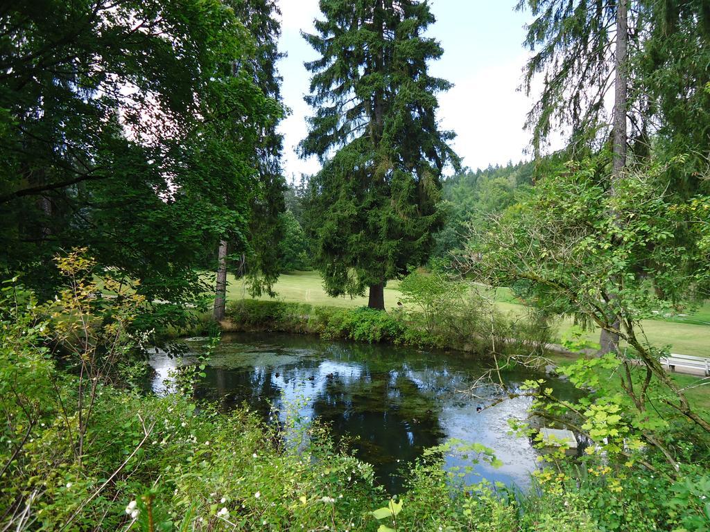 Hotel - Pension Vesta Bad Elster Esterno foto