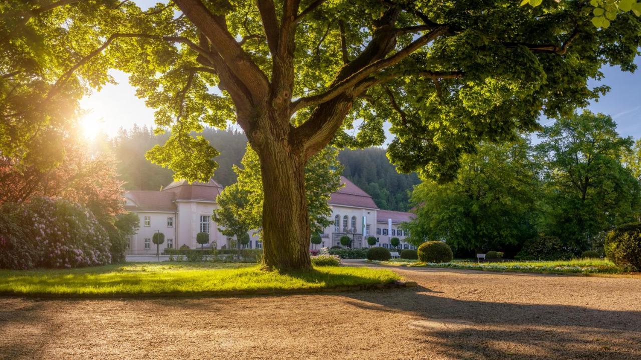 Hotel - Pension Vesta Bad Elster Esterno foto