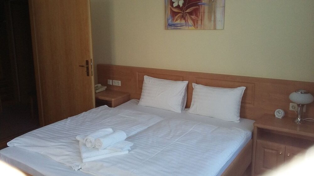 Hotel - Pension Vesta Bad Elster Esterno foto